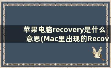 苹果电脑recovery是什么意思(Mac里出现的Recovery HD磁盘选项什么意思)